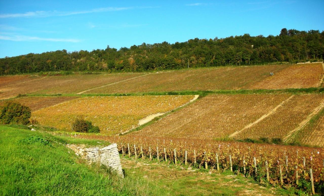 Saint-Romain  Domaine De La Corgette Bed & Breakfast エクステリア 写真